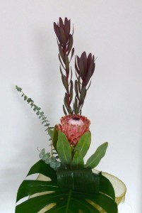 Prothea